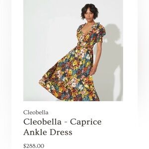 Cleobella Women’s Caprice Ankle Dress Monet Multicolor Floral Small Vacation